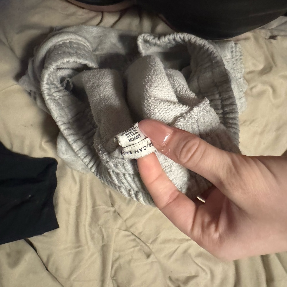 American Eagle Outfitters Gray Track Pants
